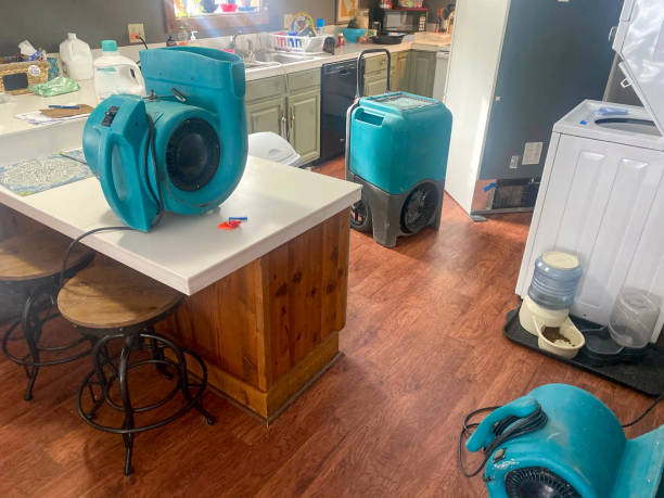Best Water damage mitigation services  in Tuttle, OK
