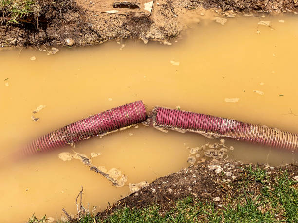 Best Basement water damage restoration  in Tuttle, OK