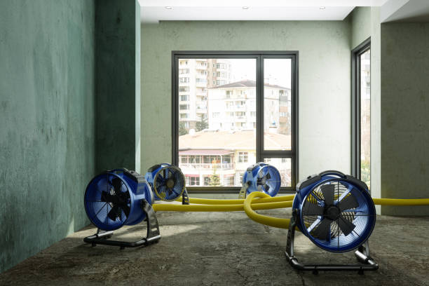 Best Carpet water damage restoration  in Tuttle, OK